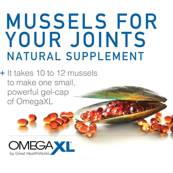 OmegaXL Joint Support Supplement - Natural Muscle Support, Green Lipped Mussel Oil, Soft Gel Pills, Drug-Free, 120 Count - Image 4